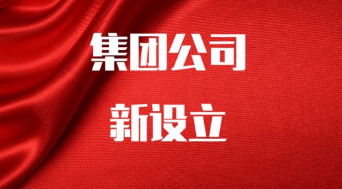 公司新設(shè)立 投資集團,控股集團,農(nóng)業(yè)集團,旅游集團,能源集團公司等
