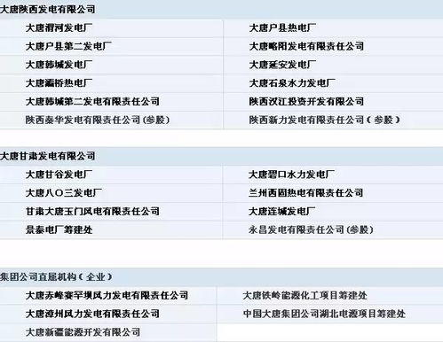 五大電力集團(tuán)公司下屬電廠 部分 明細(xì) 留著很有用