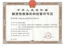 河南金支點(diǎn)投資擔(dān)保