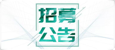 公告 紡織集團(tuán)三企業(yè)重整投資人聯(lián)合招募公告