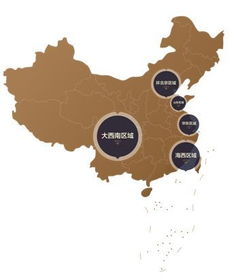 crs峰會 梁川 三盛集團(tuán)常務(wù)副總裁 三盛資本總裁 打卡中國家庭美好生活