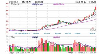 桂東電力 實(shí)業(yè)投資一地雞毛 股權(quán)激勵(lì)難掩隱憂